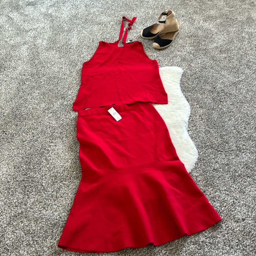 Ann Taylor Sweater Tank Top (large) and Skirt (Medium) outfit
